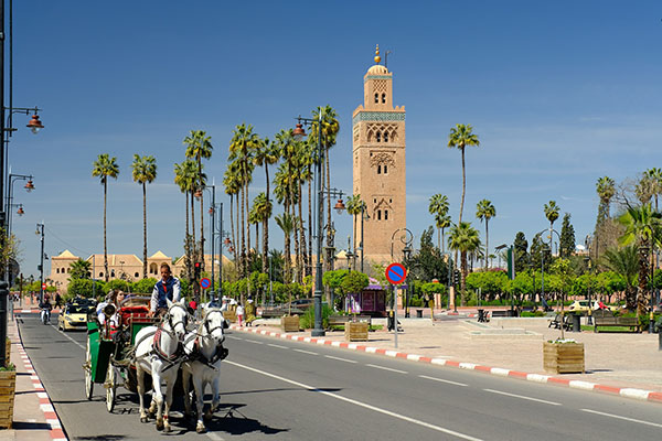 Tour Image